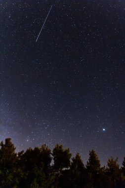 Falling stars Kakopetria köyü Kıbrıs Troodos Dağları, orman üzerinde