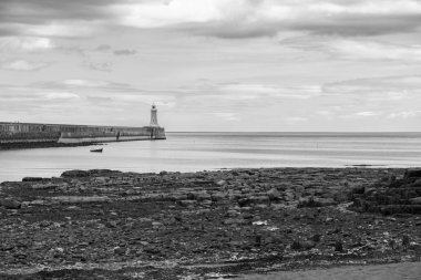 Tynemouth iskele ve deniz feneri, Tynemouth, İngiltere'de siyah beyaz etrafında güzel peyzaj