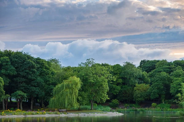 Bela Paisagem Árvores Lagoa Leazes Park Newcastle Reino Unido — Fotografia de Stock