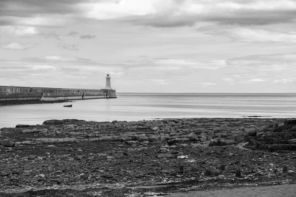 Красивий Краєвид Навколо Tynemouth Пірсу Маяк Чорно Білому Tynemouth Великобританія — стокове фото