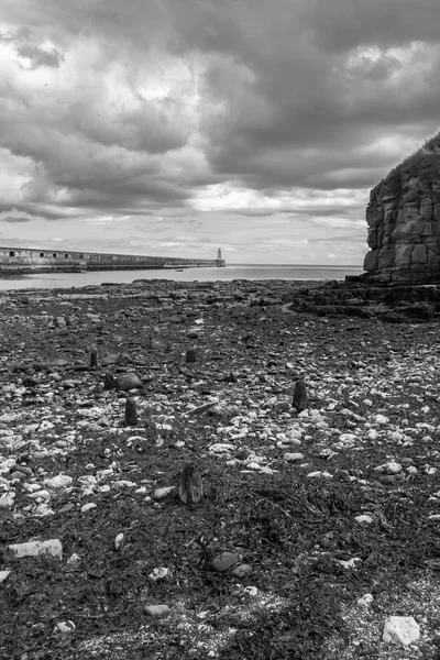 Piękny Krajobraz Wokół Tynemouth Molo Latarni Morskiej Tynemouth Wielka Brytania — Zdjęcie stockowe