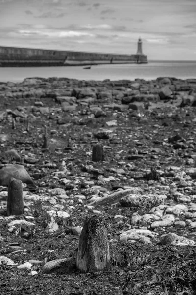 Bela Paisagem Torno Tynemouth Pier Farol Tynemouth Reino Unido Preto — Fotografia de Stock