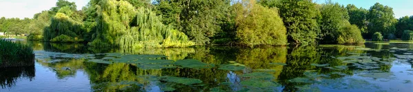 美丽的夏日午后 英国伦敦圣詹姆斯公园全景 — 图库照片