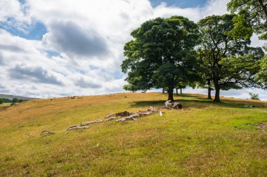 Lyme Park Emlak manzara. Emlak Milli güven tarafından yönetilir ve Peak District, Cheshire, İngiltere'de bir geyik parkta resmi bahçelerle çevrili bir konak ev oluşur