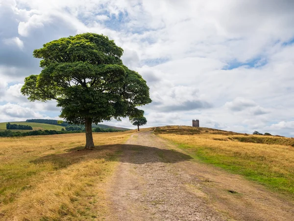 ピーク地区 チェシャー イギリスの距離でナショナル トラストのライムの木と ケージのタワー — ストック写真