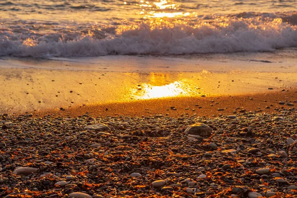 Belle Vue Sur Coucher Soleil Sur Plage Petra Tou Romiou — Photo