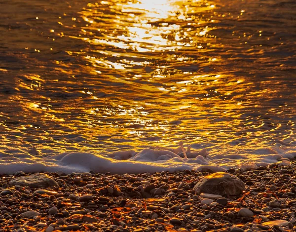 Güzel bir plaj çakıl Petra tou Romiou beach, Paphos, Kıbrıs için günbatımı manzaraya. Yunan mitolojisinde Afrodit'ın Doğum yeri olarak kabul edilir.
