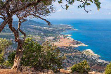 Koylar ve mavi lagün Akdeniz Aphrodite hiking trail Akamas yarımadasında, Kıbrıs dan görüldüğü gibi denizin turkuaz su ile havadan görünümü