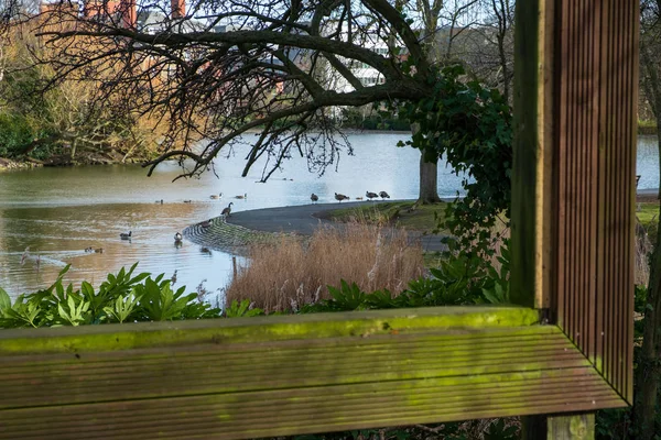 Vue à travers un grand cadre creux d'arbres et d'oiseaux dans un étang au parc Leases — Photo