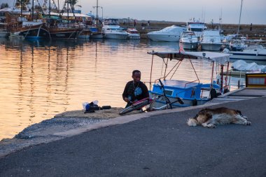 Afrikalı bir adam asfalt üzerinde uyuyan bir köpek bakıyor