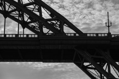 Tyne Köprüsü 'nün bir bölümünün siluetleri ve Newcastle, Ingiltere 'de uçan deniz Gull
