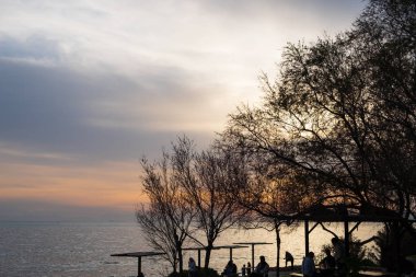 Paleo Fa'da ağaç dalları nın ve insanların siluetlerinin gün batımı sahnesi