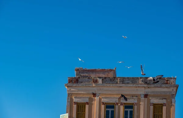 Gaivotas e pombos voam sobre o telhado de um edifício abandonado um — Fotografia de Stock