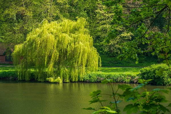 Vegetación exuberante y desgaste del río en Durham, Reino Unido —  Fotos de Stock