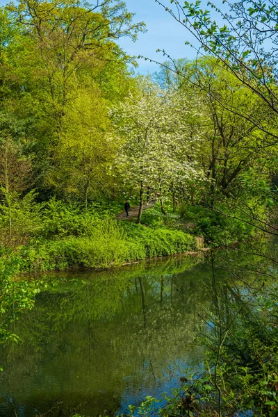 Człowiek spacery wzdłuż szlaku przez baks River Wear w Durham — Zdjęcie stockowe