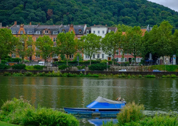 Dwie kaczki stoją na łodzi na rzece Neckar w Heidelbergu, Niemcy — Zdjęcie stockowe