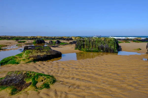 Tynemouth Long Sands na północno-wschodnim wybrzeżu Anglii na zdjęciu satelitarnym Yahoo! — Zdjęcie stockowe