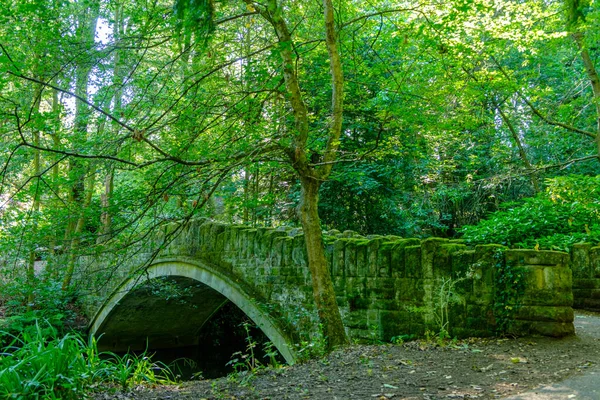 Vieux pont en pierre sur le ruisseau dans le parc Desmond Dene, Newcastle, Royaume-Uni — Photo