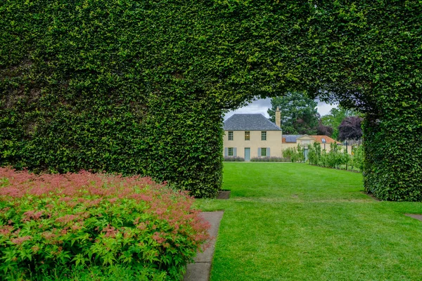 Building view through the opening in a long bush fence at the Ro — Stock Photo, Image