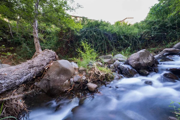 Corriente Agua Pura Que Fluye Sobre Terrenos Rocosos Montaña Bosque — Foto de Stock