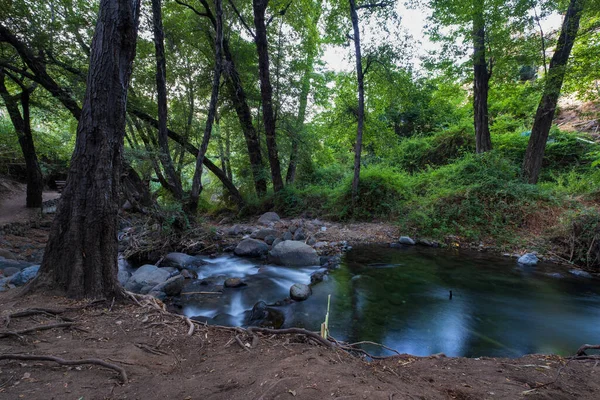 Чистая Вода Течет Скалистой Горной Местности Лесу Какопетрия Троодосе Кипр — стоковое фото