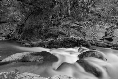 Kıbrıs Rum Kesimi 'nin Troodos kentindeki Kakopetria ormanındaki kayalık dağlık arazide pürüzsüz bir akıntıya sahip saf su akıntısı. Yavaş maruz kalma gerçek akış izi oluşturur.