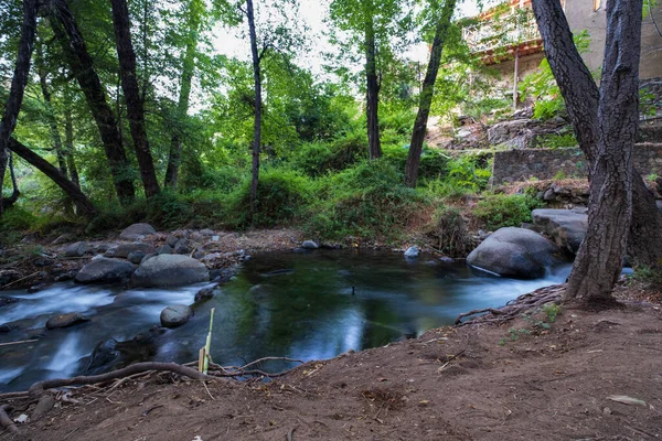 Corriente Agua Pura Que Fluye Sobre Terrenos Rocosos Montaña Bosque — Foto de Stock