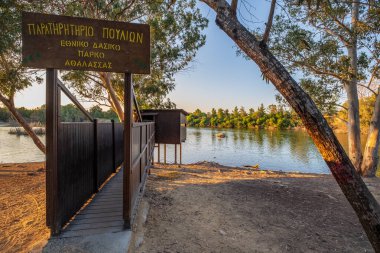 Athalassa Parkı, Kıbrıs - 3 Ekim 2020: Athalassa doğal parkındaki kuş izleme kulesi.
