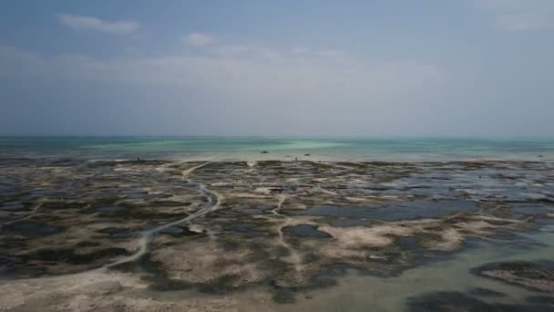 Luchtfoto: grote uitstroom op het eiland Zanzibar. — Stockvideo
