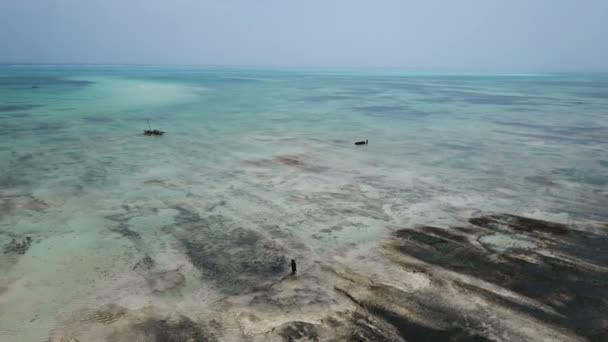 Luchtfoto: grote uitstroom op het eiland Zanzibar. — Stockvideo