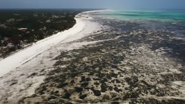 Tiro aéreo: grandes salidas en la isla de Zanzíbar . — Vídeos de Stock