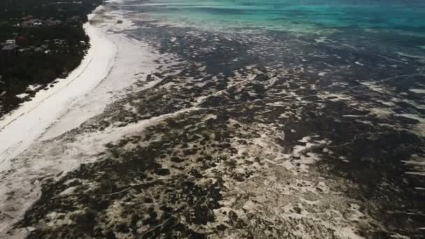 Luchtfoto: grote uitstroom op het eiland Zanzibar. — Stockvideo