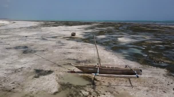 Luftaufnahme: Verlorene Boote bei Ebbe, Dürre, Insel Sansibar — Stockvideo