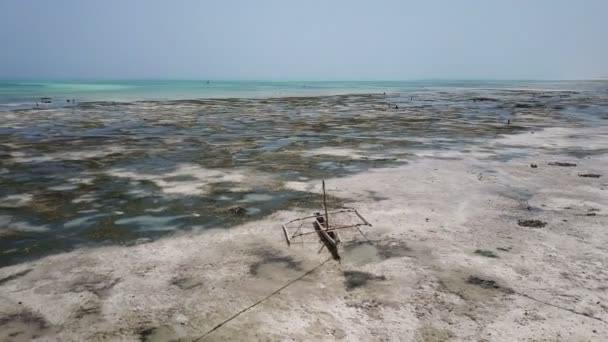 空中ショット: 干潮、干ばつ、ザンジバル島でボートを失った — ストック動画