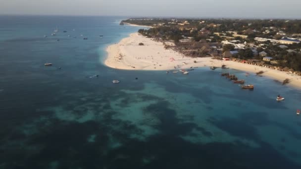 Aerial: Small island covered with tropical rainforest, stone shore belt around woods, top-down aerial view. — Stock Video