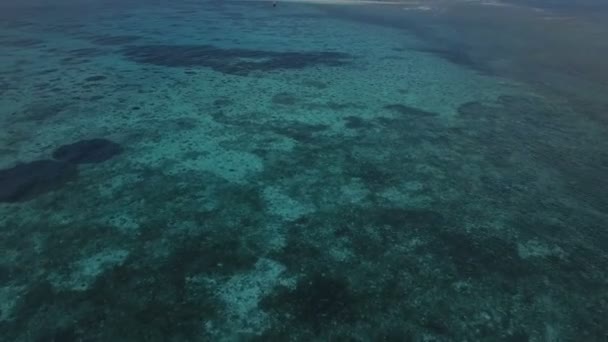 Antenne: eine kleine Insel, eine verlorene Insel, wunderschönes azurblaues Wasser, eine Insel für zwei Personen, Sansibar, Malediven — Stockvideo