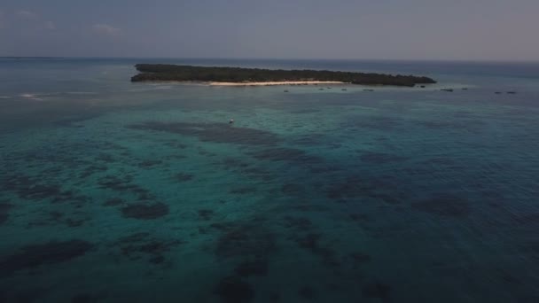 Udara: Pulau Pangavini ditutupi dengan hutan hujan tropis, sabuk pantai batu di sekitar hutan, pemandangan udara atas-bawah . — Stok Video