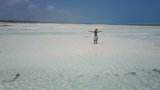 Aérea: la chica en el vestido está caminando por la playa paradisíaca sola. Playa de Jambiani — Vídeos de Stock