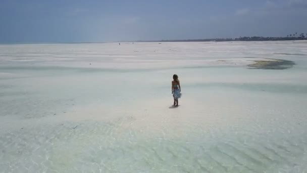 Aéreo: a menina no vestido está andando ao longo da praia paradisíaca sozinho. Praia de Jambiani — Vídeo de Stock