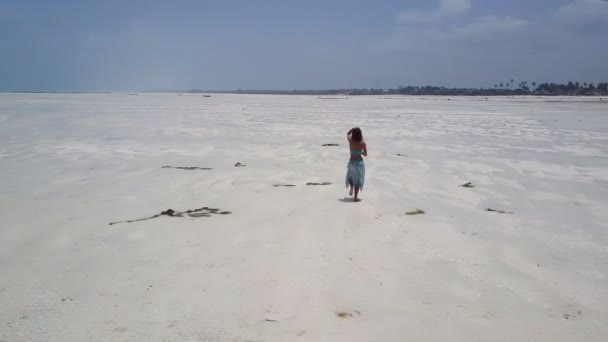 Antenn: flickan i klänning vandring längs paradis stranden ensam. Jambiani Beach — Stockvideo