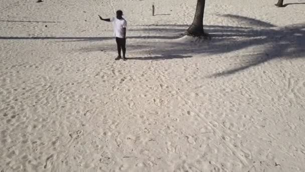 Aerial: African man dancing in a palm grove on the beach — Stock Video
