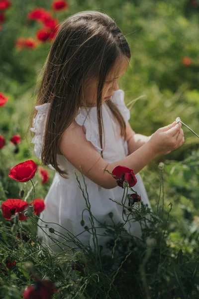 かわいい子供が畑で遊んでいる — ストック写真