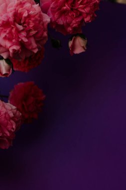 Metin için kopyalama alanı olan pembe çiçek arkaplanı