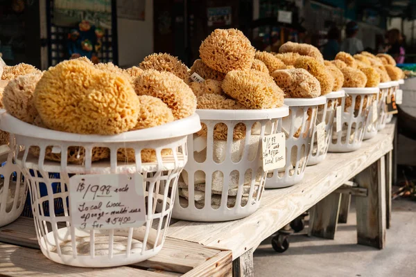 Éponges de mer à vendre — Photo