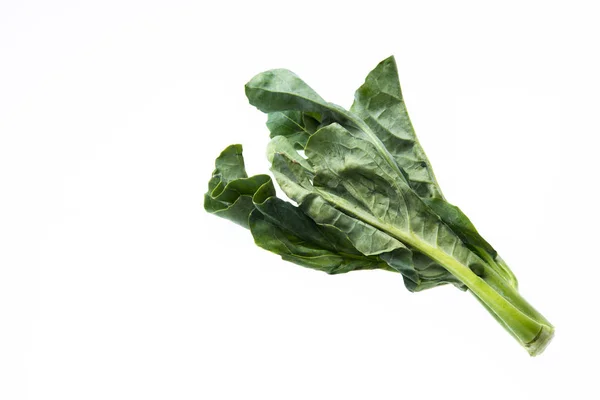 Chinese Kale Vegetable Fresh Chinese Kale Vegetable White Background — Stock Photo, Image