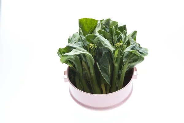 Chinese Kale Vegetable Fresh Chinese Kale Vegetable White Background — Stock Photo, Image