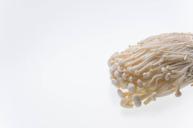 Altın iğne mantar beyaz arka planda, kopya alanı