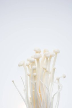 Beyaz arka planda altın iğne mantarı