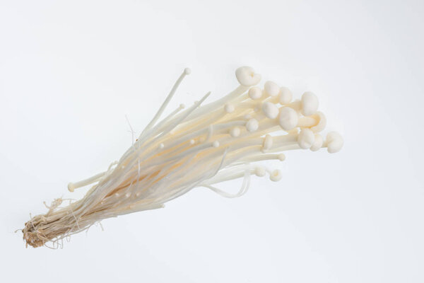 Golden needle mushroom on white background