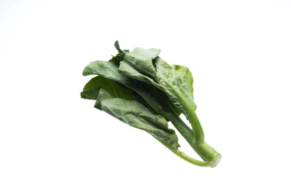 Chinese Kale Vegetable Fresh Chinese Kale Vegetable White Background — Stock Photo, Image